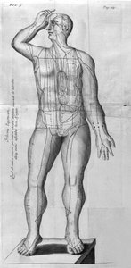 De Acupunctura by W. Ten Rhijne. London 1683. First Western text dealing with Acupuncture by Unknown artist