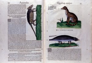 Double-Page of Historia Animalium by Conrad Gesner (1516-1565), Tiguri by Unknown artist