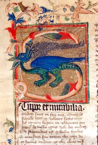 Dragon Decoree Lettrine (detail) by Unknown artist