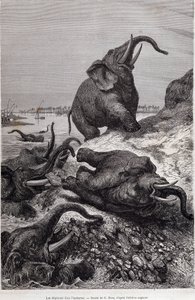 Elephants climbing the bank of a river, in account of an expedition to Central Africa commissioned by Sir Samuel White Baker, “Tour du monde” by Unknown artist