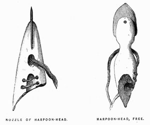 Eskimo Harpoons - Elisha Kent Kane, Arctic Exploration in Years 1853-1855, Philadelphia, Childs and Peterson