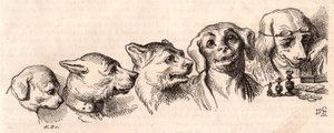Evolution of a dog to a human form by Unknown