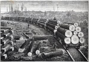 Exploitation of United States forests. Temporary railways with wooden track. Wagons carrying tree trunks. Engraving in 