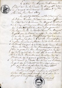 Extract from the Register of Birth of the State-Civil of the Municipality of Dommyrot, Certified Copy of February 2