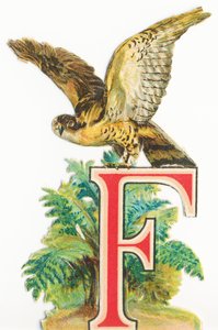 F: Falcon by Unknown artist