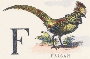 F: Pheasant by Unknown artist