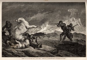 Fight with a polar bear protecting her baby, the pack of dogs assaults her and the hunters, rifle weapons, wait for the right time to shoot her. Engraving to illustrate the voyage to the free sea of the Arctic pole, by Doctor Hayes, surgeon of the United S by Unknown artist
