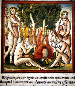 Fire and Primitives - in 