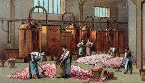 Flower distillery for the production of petrol and water of Flowers. Chromolithography of the late 19th century by Unknown artist