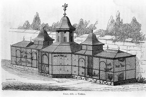 Garden Aviary. Engraving of the 19th Century by Unknown artist