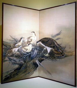 Hawks, Nest And Broken Tree by Unknown artist