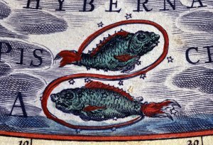 Horoscope: sign of the zodiac, Pisces. 16th century engraving. by Unknown artist
