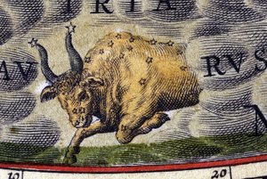 Horoscope: sign of the zodiac, Taurus.