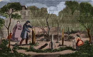 Horticulture: main methods of plant transplantation. 1860 engraving. by Unknown artist
