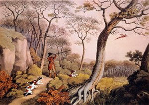 Hunting of Pheasants in England