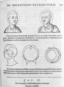 Image of physiognomy from 