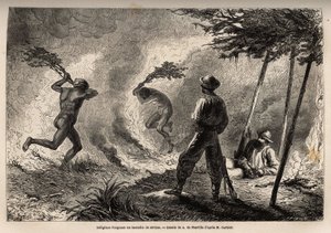 Indigenous Kanaks Igniting a Savannah Fire by Unknown artist