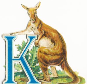 K: Kangaroo by Unknown artist
