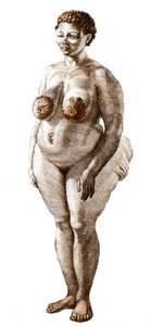 The Hottentot Venus, woman of Bochiman breed, engraving of 1815