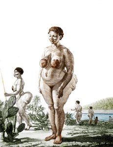 The Hottentot Venus, woman of the Bochiman breed, engraving of 1815. by Unknown artist
