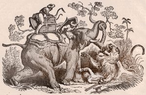 Lion Hunting Scene: The Hunter, Tomb of the Elephant, is Now in the Claws of the Lion