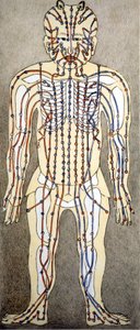 Medicine. Diagram of the human body from a treatise of acupuncture. Private library, Milan by Unknown artist