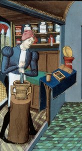 Pharmacy: An apothecary, the picking of plants and the preparation of medicaments (detail) by Unknown artist