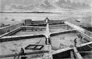 Pisciculture at Concarneau (engraving from 1860)