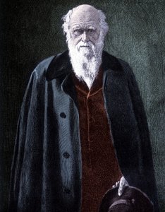 Portrait of Charles Darwin by Unknown artist