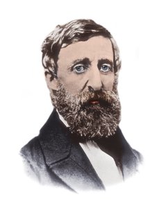 Portrait of Henry David Thoreau - American essayist, poet, philosopher, abolitionist, naturalist, tax resister, development critic, surveyor, and historian by Unknown artist