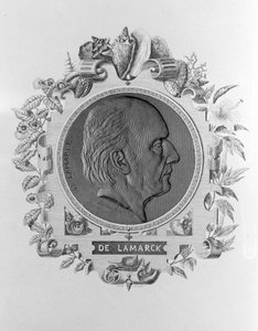 Portrait of Lamarck