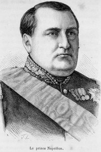 Portrait of Prince Napoleon by Unknown artist