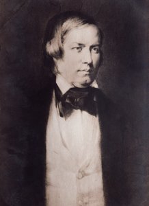 Portrait of Robert Schumann by Unknown artist