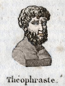 Portrait of Theophrastus (372 BC-287 BC), Greek philosopher.