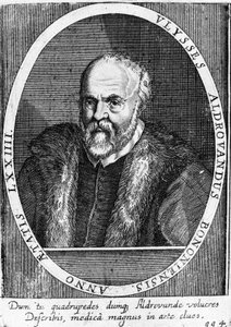 Portrait of Ulisse Aldrovandi