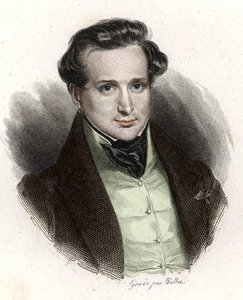 Portrait of Victor Hugo, Young Man