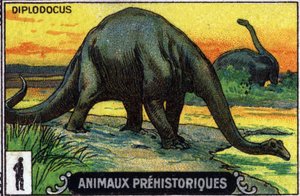 Prehistoric Animal: Diplodocus Dinosaur