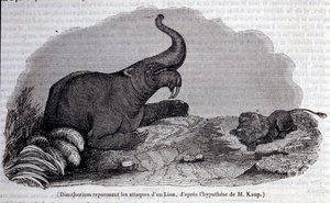 Prehistory: representation of a Dinotherium, type of pachyderm, repelling the attack of a lion by Unknown artist