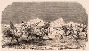 Representation of medieval tribes and animal species: group of Pygmies fighting cranes by Unknown