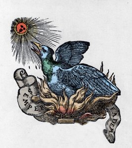 Representation of a Phoenix, Legendary Bird Reborn from Its Ashes. Engraving of the 19th Century