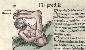 Representation of a Sciapod monster Engraving from 