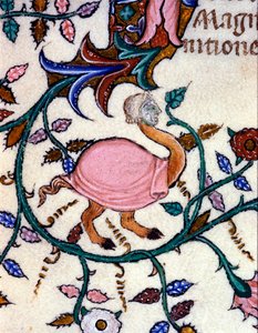 Representation of a monster with an ostrich body and a human head. Miniature of a 14th century manuscript. Milan, Biblioteca Nazionale Braidense. by Unknown artist