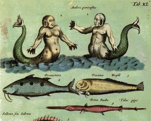 Representation of a Siren and a Triton. (detail) 17th century by Unknown artist