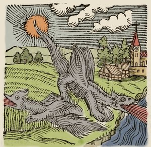 Representation of basilisks in flight burning wheat fields. Engraving from 