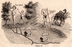 Representation of Medieval Tribes and Animal Species: Monocules, Blemmys, Sciopodes and Camels by Unknown artist