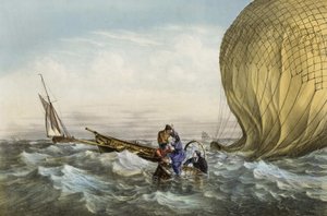 Rescue of the Habs ball, mounted by Mr. and Mrs. Durouf. Shipwrecked on the coast of England on September 1 by Unknown artist