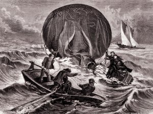 Rescue of the Habs ball, mounted by Mr. and Mrs. Durouf. Shipwrecked on the coast of England on September 1 by Unknown artist