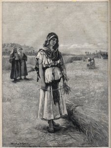 Ruth Working in the Field of Boaz - engraving from the painting of Druch-hajos by Unknown artist