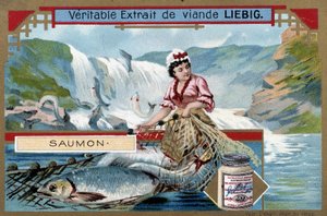 Salmon Fishing - Chromo of the 19th Century