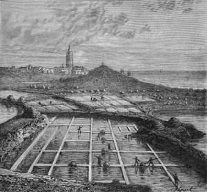 Sauniers in a salt marsh in Bourg de Batz, near Croizic during the period of Saunage. In "Wonders of the Industry" by Louis Figuier